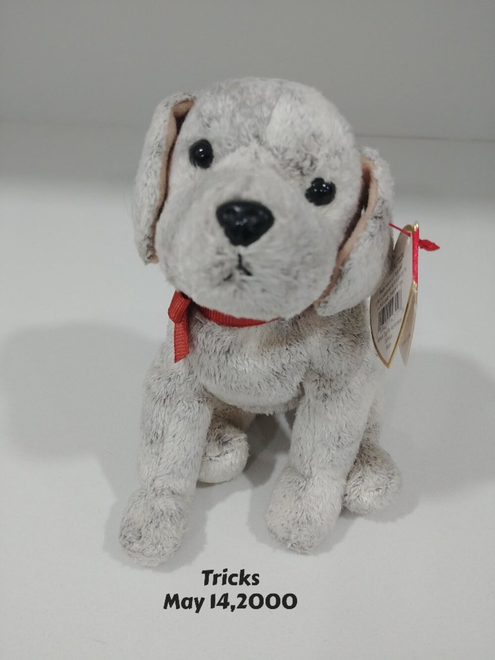Ty Beany Baby Tricks With Birth Tag, May 14,2000 ,Like New